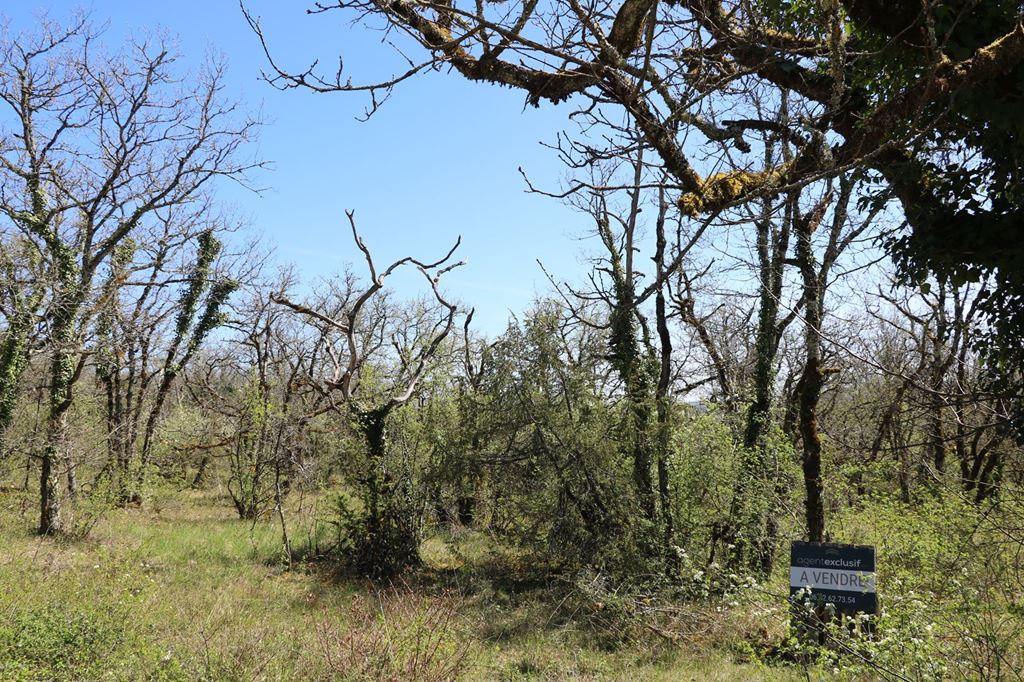 Terrain LA DORNAC (24120) AGENT EXCLUSIF.COM