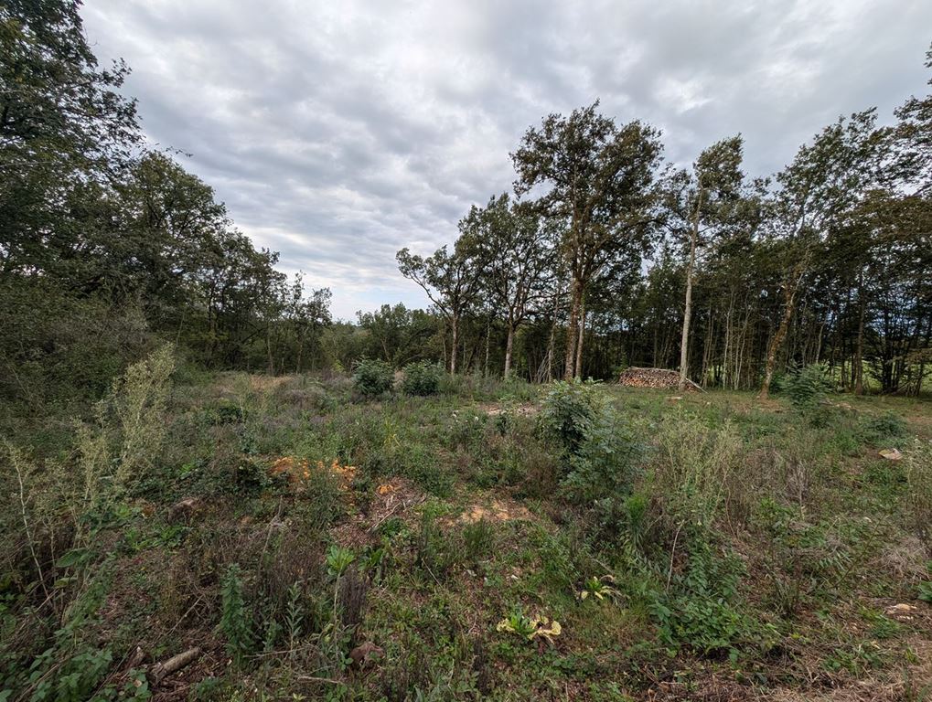 Terrain LA CASSAGNE (24120) AGENT EXCLUSIF.COM