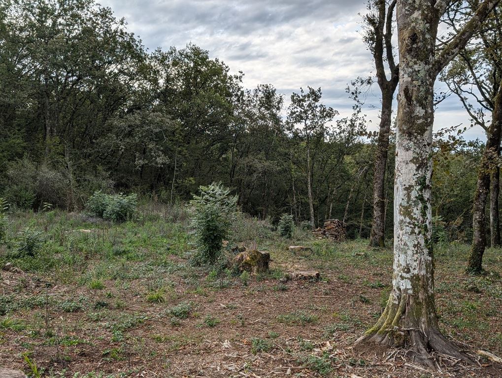 Terrain LA CASSAGNE (24120) AGENT EXCLUSIF.COM