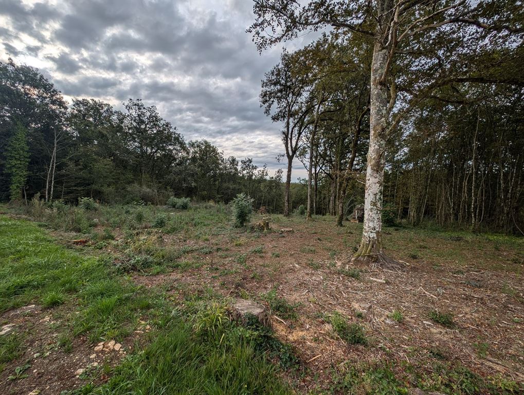 Terrain LA CASSAGNE (24120) AGENT EXCLUSIF.COM