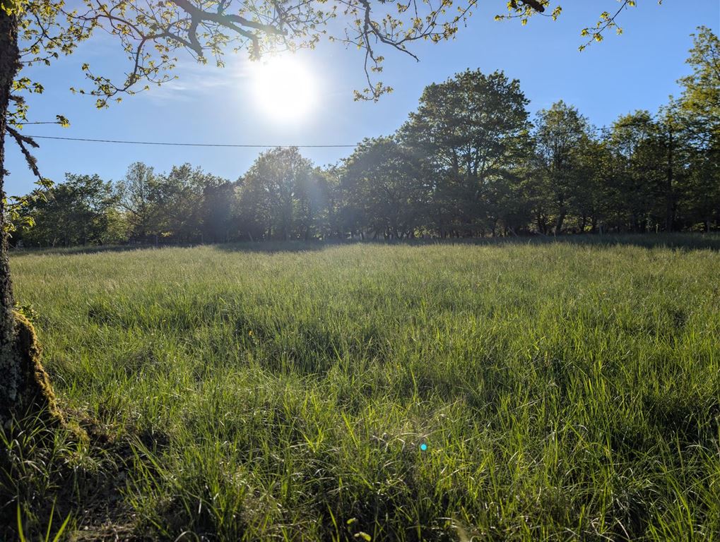 Terrain LA CASSAGNE (24120) AGENT EXCLUSIF.COM
